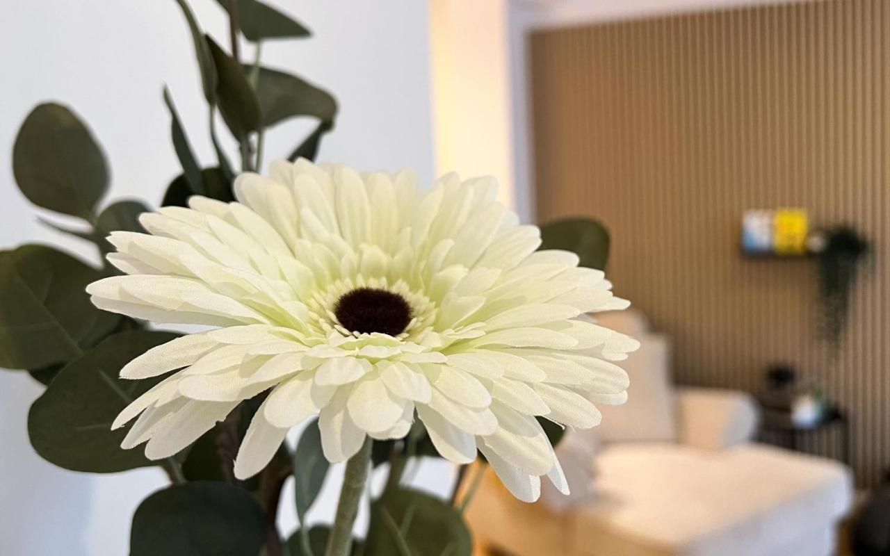 Modernes Studio Appartement Mit Leseecke Gernsbach Eksteriør bilde